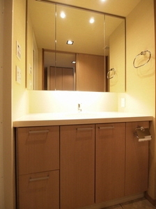 エスティメゾン銀座 702号-8