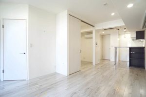 エスティメゾン銀座 707号-2