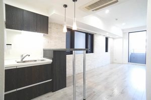 エスティメゾン銀座 707号-3