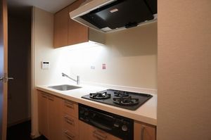 エスティメゾン銀座 801号-7