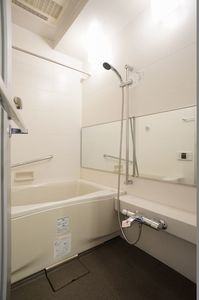 エスティメゾン銀座 801号-10