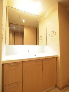 エスティメゾン銀座 1007号-8