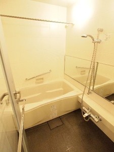 エスティメゾン銀座 1007号-9