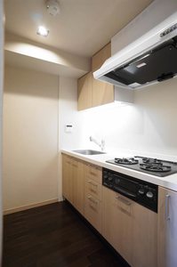 エスティメゾン銀座 1409号-5