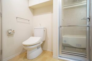 エスティメゾン恵比寿Ⅱ 802号-11