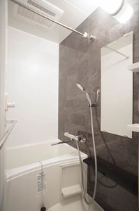 エスティメゾン亀戸 808号-10