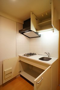 エスティメゾン亀戸 908号-5