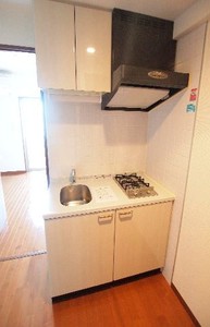 エスティメゾン亀戸 1007号-6