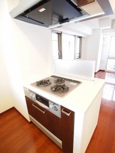 エスティメゾン五反田 508号-4