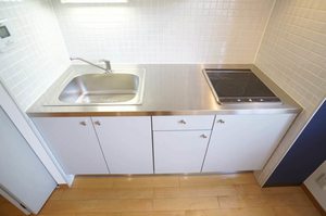 エスティメゾン麻布永坂 501号-7