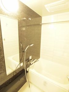 プライムメゾン品川 312号-8