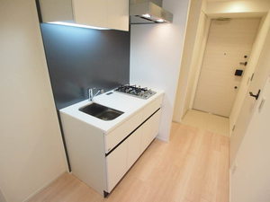 プライムメゾン白金高輪 711号-5