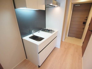 プライムメゾン白金高輪 813号-5