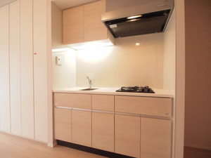 プライムメゾン白金高輪 1005号-5