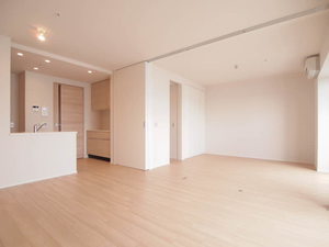 プライムメゾン白金高輪 1102号-4