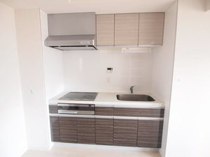 シャーメゾンステージ日野 301号-4