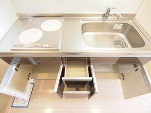 シャーメゾンステージ日野 903号-7