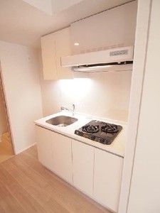 プライムメゾン白金台タワー 401号-5