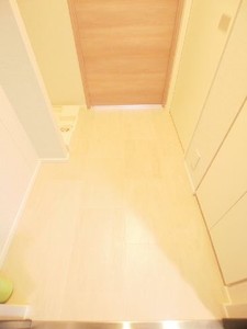 プライムメゾン白金台タワー 805号-11