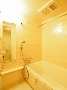 プライムメゾン白金台タワー 1201号-8