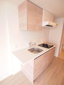 プライムメゾン白金台タワー 1602号-5