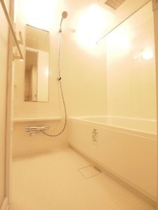 プライムメゾン白金台タワー 1806号-9