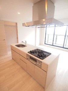 プライムメゾン白金台タワー 1901号-4