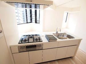 プライムメゾン本郷 803号-6