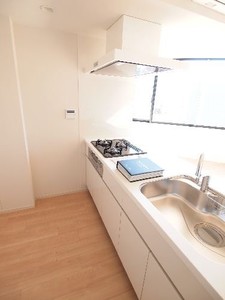 プライムメゾン本郷 1103号-6