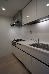 プライムメゾン江古田の杜ウェスト 305号-7