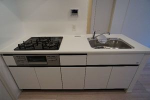 プライムメゾン江古田の杜ウェスト 306号-7