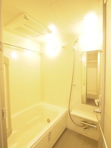 プライムメゾン江古田の杜ウェスト 415号-7