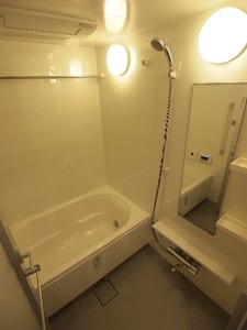 プライムメゾン江古田の杜ウェスト 419号-9