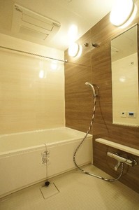 プライムメゾン江古田の杜イースト 215号-9