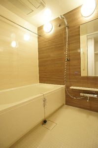 プライムメゾン江古田の杜イースト 411号-9