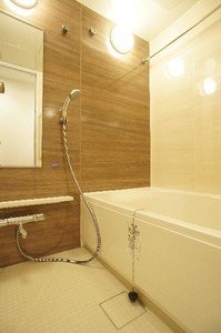 プライムメゾン江古田の杜イースト 413号-8