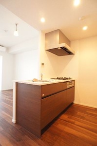 プライムメゾン江古田の杜イースト 508号-7