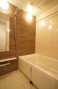 プライムメゾン江古田の杜イースト 707号-9