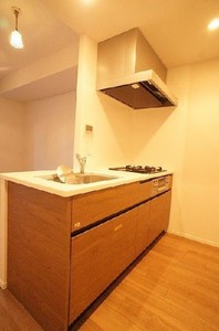 プライムメゾン江古田の杜イースト 1008号-7