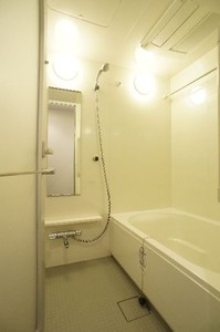 プライムメゾン江古田の杜イースト 1207号-8