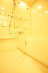 プライムメゾン蔵前 205号-7