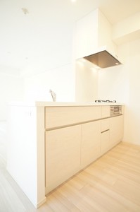 プライムメゾン蔵前 1203号-4