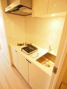 プライムメゾン板橋 203号-7