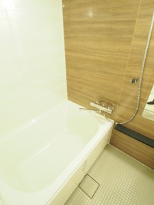 プライムメゾン板橋 305号-9