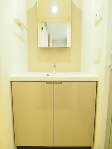 プライムメゾン板橋 907号-8