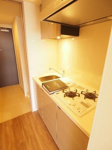 プライムメゾン板橋 1004号-7