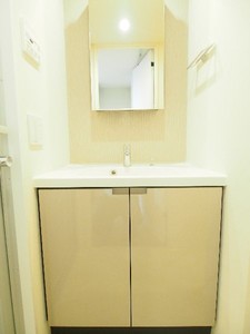 プライムメゾン板橋 1008号-8