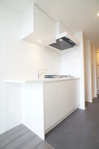 プライムメゾン早稲田通り 903号-6