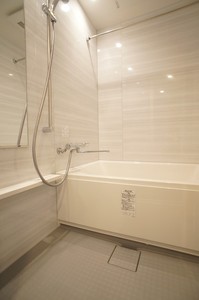 プライムメゾン早稲田通り 903号-8