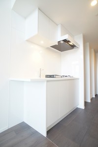 プライムメゾン早稲田通り 905号-6